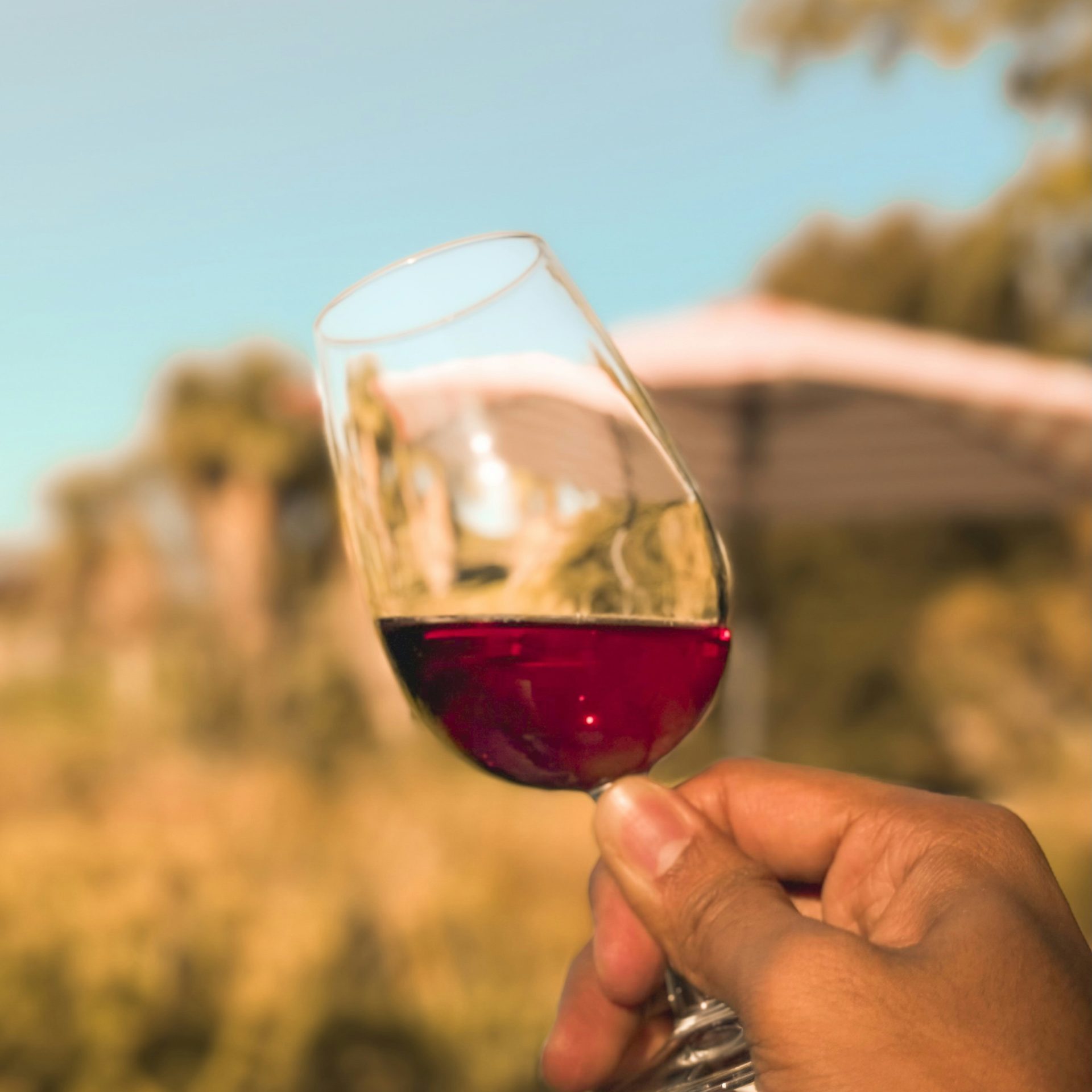 Winetasting in the nearby Stellenbosch wine route, closely situated to Coastal Sandz holiday rental apartment strand